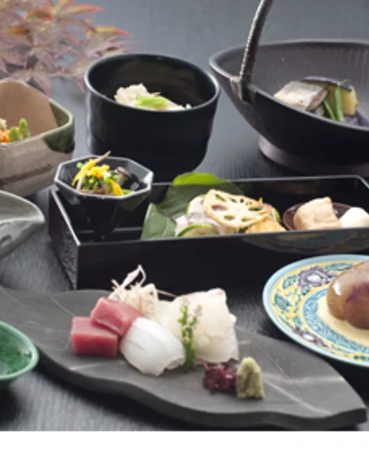 Japan premium course